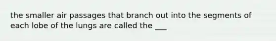 the smaller air passages that branch out into the segments of each lobe of the lungs are called the ___