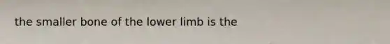 the smaller bone of the <a href='https://www.questionai.com/knowledge/kF4ILRdZqC-lower-limb' class='anchor-knowledge'>lower limb</a> is the