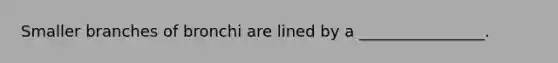 Smaller branches of bronchi are lined by a ________________.