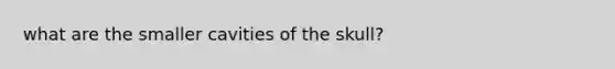 what are the smaller cavities of the skull?