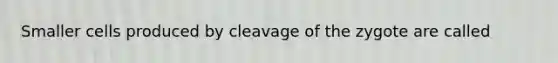 Smaller cells produced by cleavage of the zygote are called