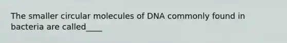 The smaller circular molecules of DNA commonly found in bacteria are called____