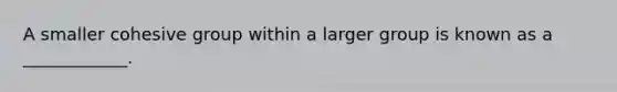 A smaller cohesive group within a larger group is known as a ____________.