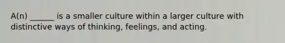 A(n) ______ is a smaller culture within a larger culture with distinctive ways of thinking, feelings, and acting.