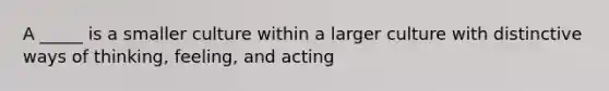 A _____ is a smaller culture within a larger culture with distinctive ways of thinking, feeling, and acting