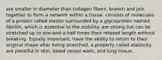 are smaller in diameter than collagen fibers, branch and join together to form a network within a tissue. consists of molecules of a protein called elastin surrounded by a glycoprotein named fibrillin, which is essential to the stability. are strong but can be stretched up to one-and-a-half times their relaxed length without breaking. Equally important, have the ability to return to their original shape after being stretched, a property called elasticity. are plentiful in skin, blood vessel walls, and lung tissue.