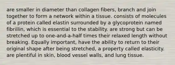 are smaller in diameter than collagen fibers, branch and join together to form a network within a tissue. consists of molecules of a protein called elastin surrounded by a glycoprotein named fibrillin, which is essential to the stability. are strong but can be stretched up to one-and-a-half times their relaxed length without breaking. Equally important, have the ability to return to their original shape after being stretched, a property called elasticity. are plentiful in skin, blood vessel walls, and lung tissue.