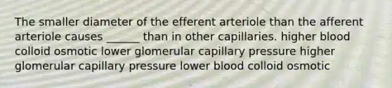 The smaller diameter of the efferent arteriole than the afferent arteriole causes ______ than in other capillaries. higher blood colloid osmotic lower glomerular capillary pressure higher glomerular capillary pressure lower blood colloid osmotic