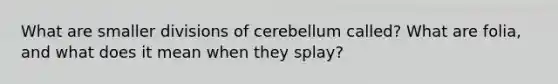 What are smaller divisions of cerebellum called? What are folia, and what does it mean when they splay?