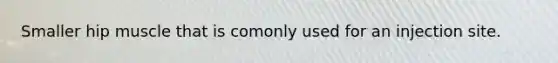 Smaller hip muscle that is comonly used for an injection site.