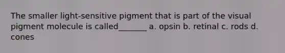 The smaller light-sensitive pigment that is part of the visual pigment molecule is called_______ a. opsin b. retinal c. rods d. cones