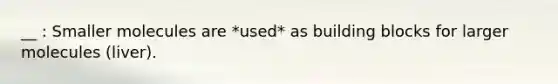 __ : Smaller molecules are *used* as building blocks for larger molecules (liver).