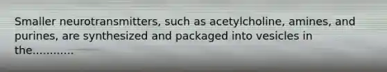 Smaller neurotransmitters, such as acetylcholine, amines, and purines, are synthesized and packaged into vesicles in the............