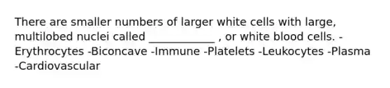 There are smaller numbers of larger white cells with large, multilobed nuclei called ____________ , or white blood cells. -Erythrocytes -Biconcave -Immune -Platelets -Leukocytes -Plasma -Cardiovascular