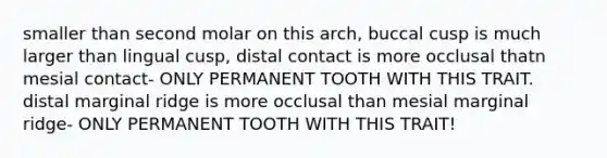 smaller than second molar on this arch, buccal cusp is much larger than lingual cusp, distal contact is more occlusal thatn mesial contact- ONLY PERMANENT TOOTH WITH THIS TRAIT. distal marginal ridge is more occlusal than mesial marginal ridge- ONLY PERMANENT TOOTH WITH THIS TRAIT!