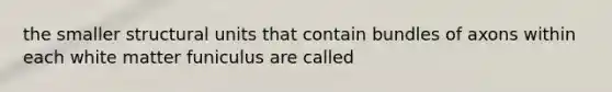 the smaller structural units that contain bundles of axons within each white matter funiculus are called
