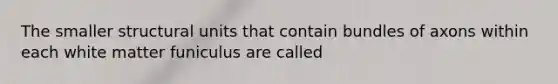 The smaller structural units that contain bundles of axons within each white matter funiculus are called