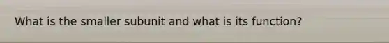 What is the smaller subunit and what is its function?