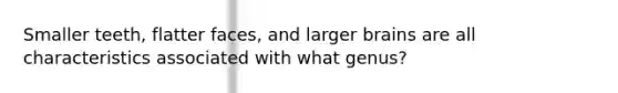 Smaller teeth, flatter faces, and larger brains are all characteristics associated with what genus?