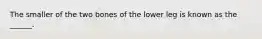 The smaller of the two bones of the lower leg is known as the ______.