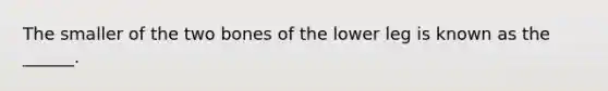 The smaller of the two bones of the lower leg is known as the ______.