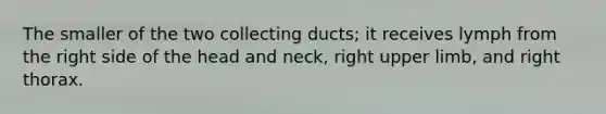 The smaller of the two collecting ducts; it receives lymph from the right side of the head and neck, right upper limb, and right thorax.