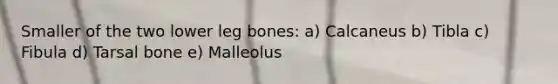 Smaller of the two lower leg bones: a) Calcaneus b) Tibla c) Fibula d) Tarsal bone e) Malleolus