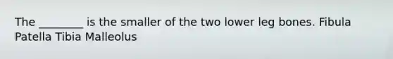 The ________ is the smaller of the two lower leg bones. Fibula Patella Tibia Malleolus