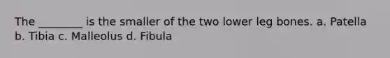 The ________ is the smaller of the two lower leg bones. a. Patella b. Tibia c. Malleolus d. Fibula