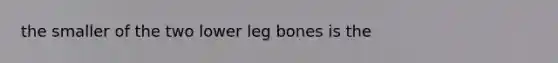 the smaller of the two lower leg bones is the