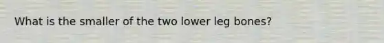 What is the smaller of the two lower leg bones?