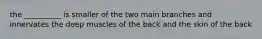 the __________ is smaller of the two main branches and innervates the deep muscles of the back and the skin of the back