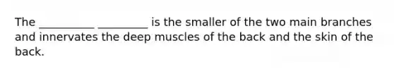 The __________ _________ is the smaller of the two main branches and innervates the deep muscles of the back and the skin of the back.