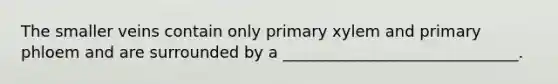 The smaller veins contain only primary xylem and primary phloem and are surrounded by a ______________________________.