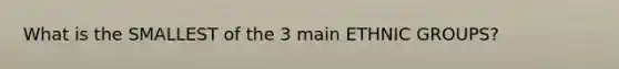 What is the SMALLEST of the 3 main ETHNIC GROUPS?