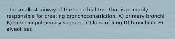 The smallest airway of the bronchial tree that is primarily responsible for creating bronchoconstriction. A) primary bronchi B) bronchiopulmonary segment C) lobe of lung D) bronchiole E) alveoli sac