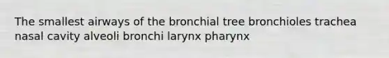 The smallest airways of the bronchial tree bronchioles trachea nasal cavity alveoli bronchi larynx pharynx