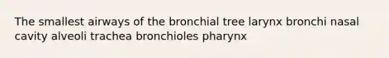 The smallest airways of the bronchial tree larynx bronchi nasal cavity alveoli trachea bronchioles pharynx