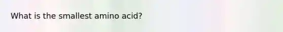 What is the smallest amino acid?