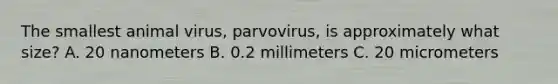 The smallest animal virus, parvovirus, is approximately what size? A. 20 nanometers B. 0.2 millimeters C. 20 micrometers