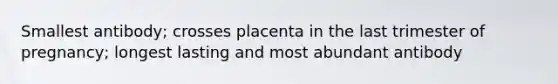 Smallest antibody; crosses placenta in the last trimester of pregnancy; longest lasting and most abundant antibody