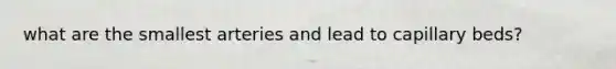 what are the smallest arteries and lead to capillary beds?