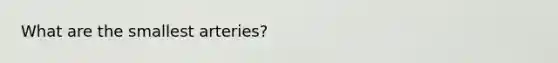 What are the smallest arteries?