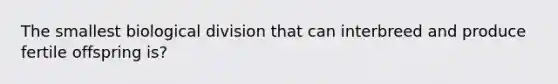 The smallest biological division that can interbreed and produce fertile offspring is?