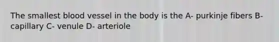 The smallest blood vessel in the body is the A- purkinje fibers B- capillary C- venule D- arteriole