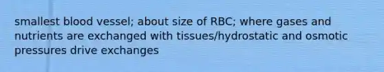 smallest blood vessel; about size of RBC; where gases and nutrients are exchanged with tissues/hydrostatic and osmotic pressures drive exchanges