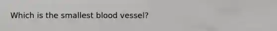 Which is the smallest blood vessel?