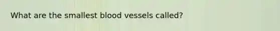 What are the smallest blood vessels called?