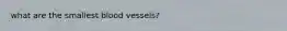 what are the smallest blood vessels?