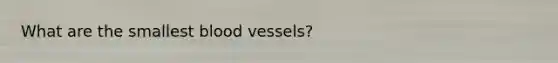 What are the smallest blood vessels?